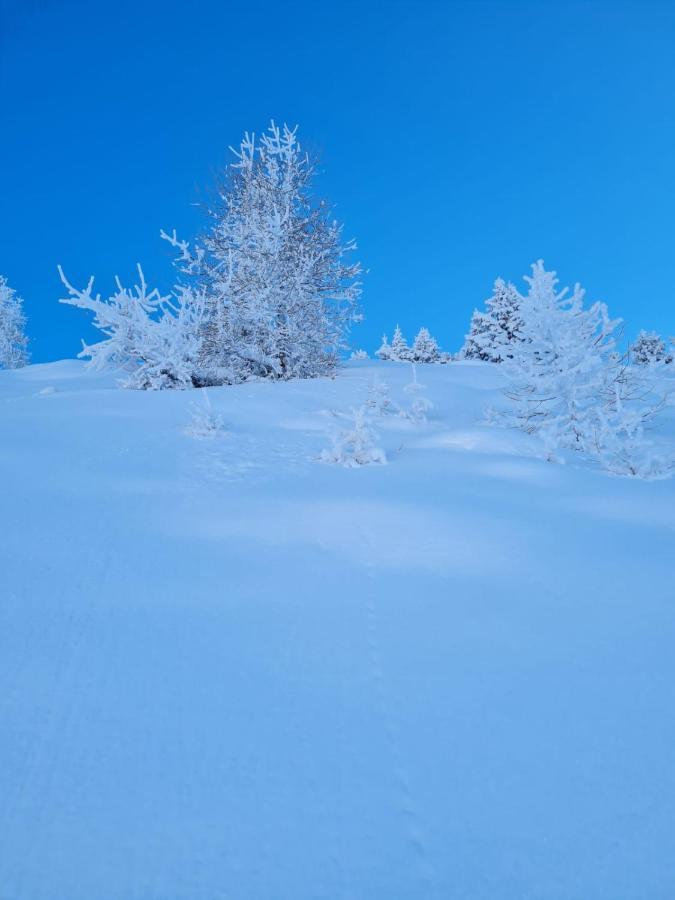 Appartamento Au Petit Bonheur A Val-Cenis Sollières-Sardières Esterno foto